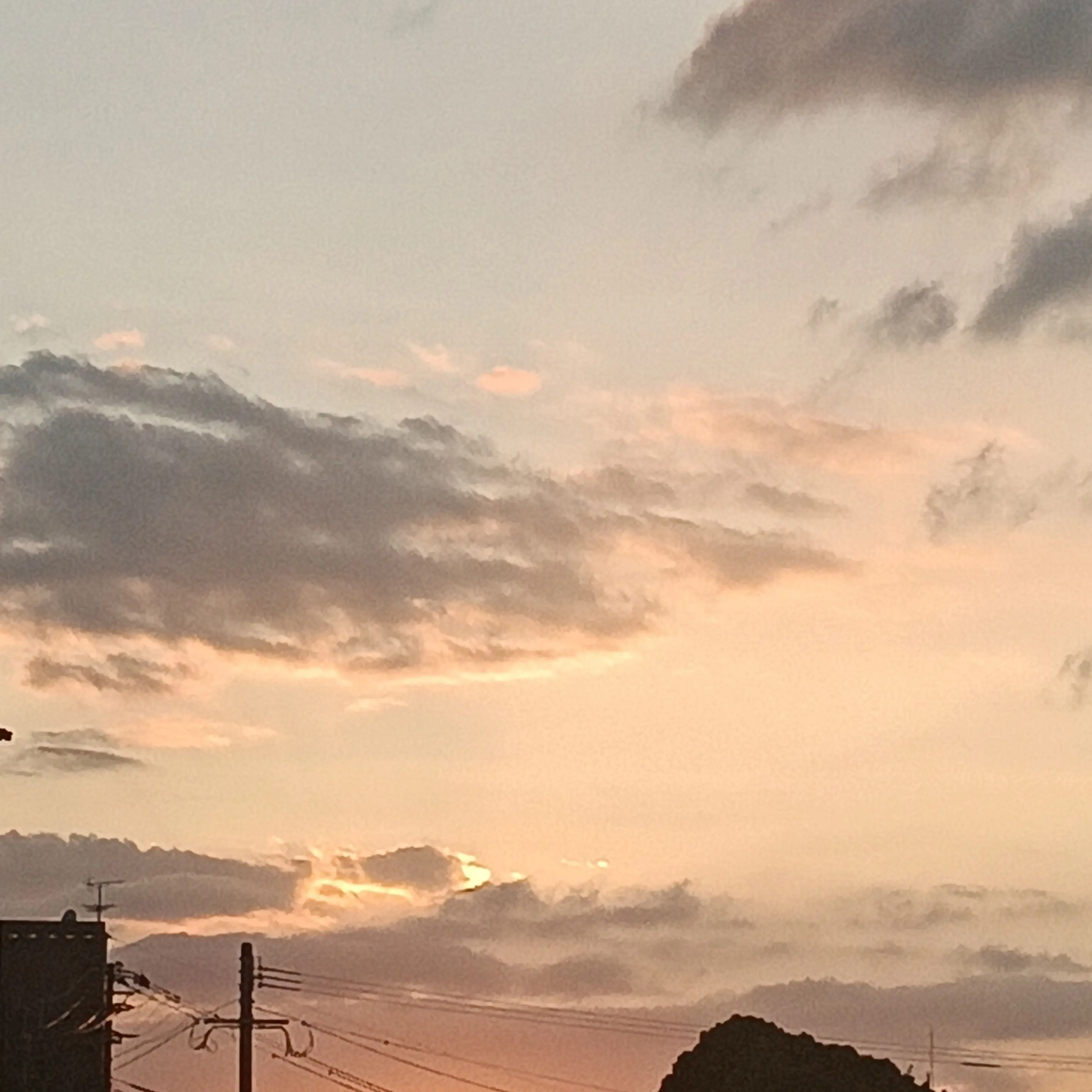 NedokoSgasitemasu의 ぶ  り っ こ ち ゃ ん____ ♡