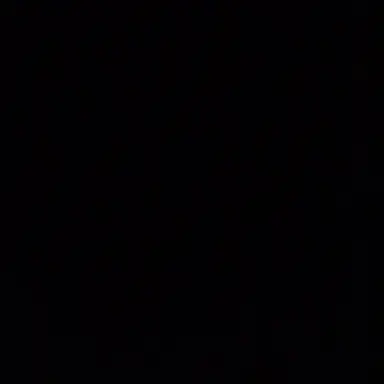 Profile image of Random