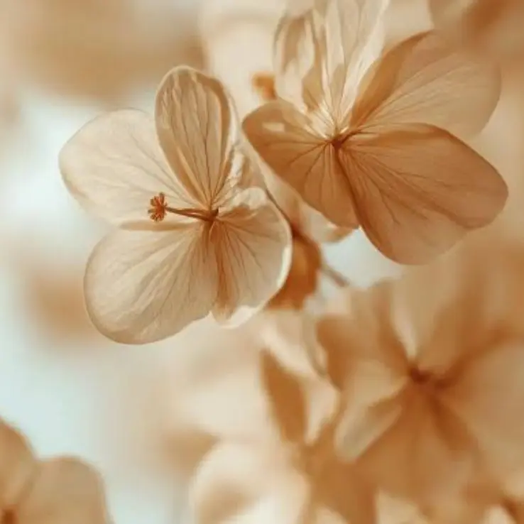 Yanikasu119의 緋八マナ