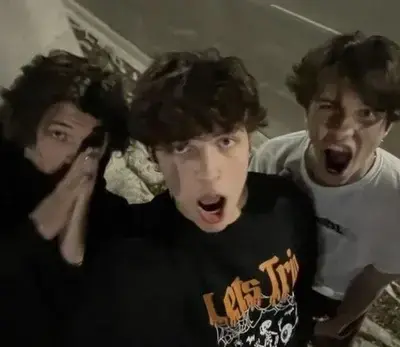 VoicedHat7735의 Sturniolo triplets