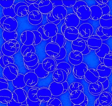Profile image of クク