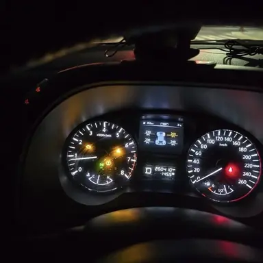 Profile image of 좀비