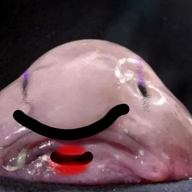 Profile image of 여우