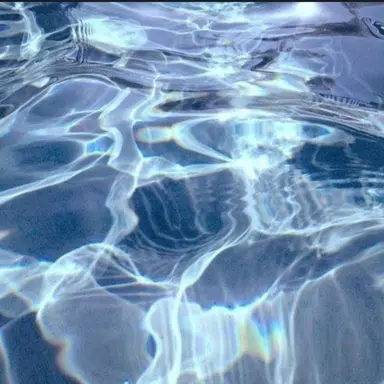 Profile image of 박잠뜰