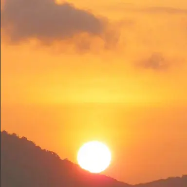 Profile image of 伏見ガク