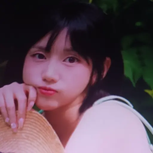 TealTrack5277의 유치