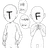 MBTI들