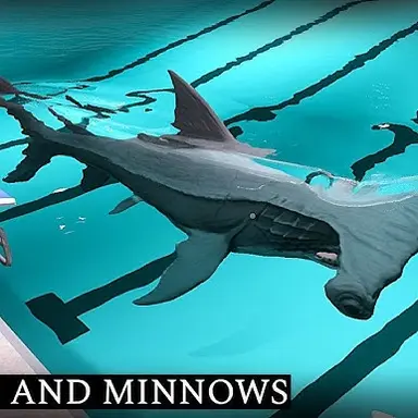 Profile image of 망치상어