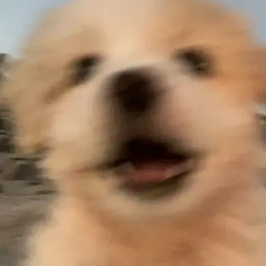 Profile image of Tsukasa
