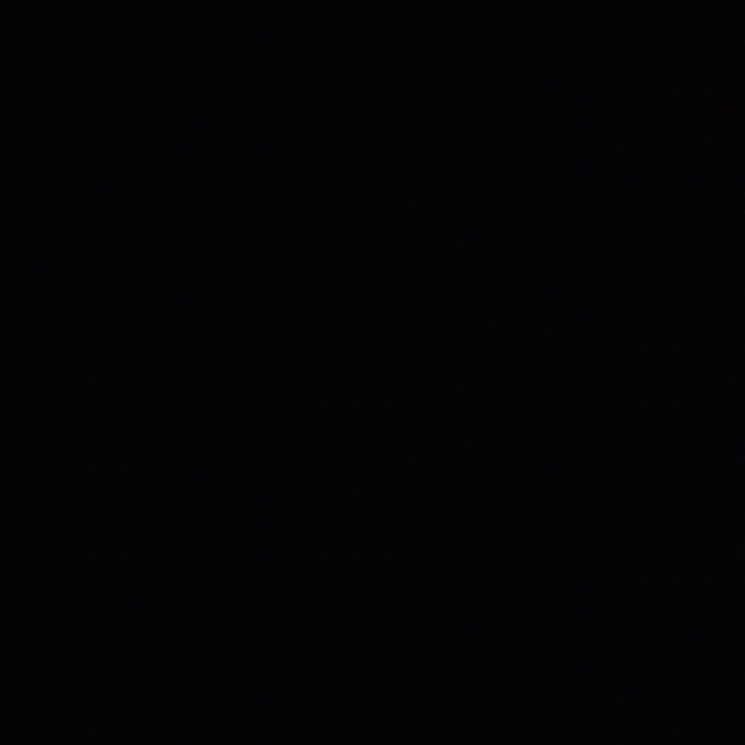 정도현