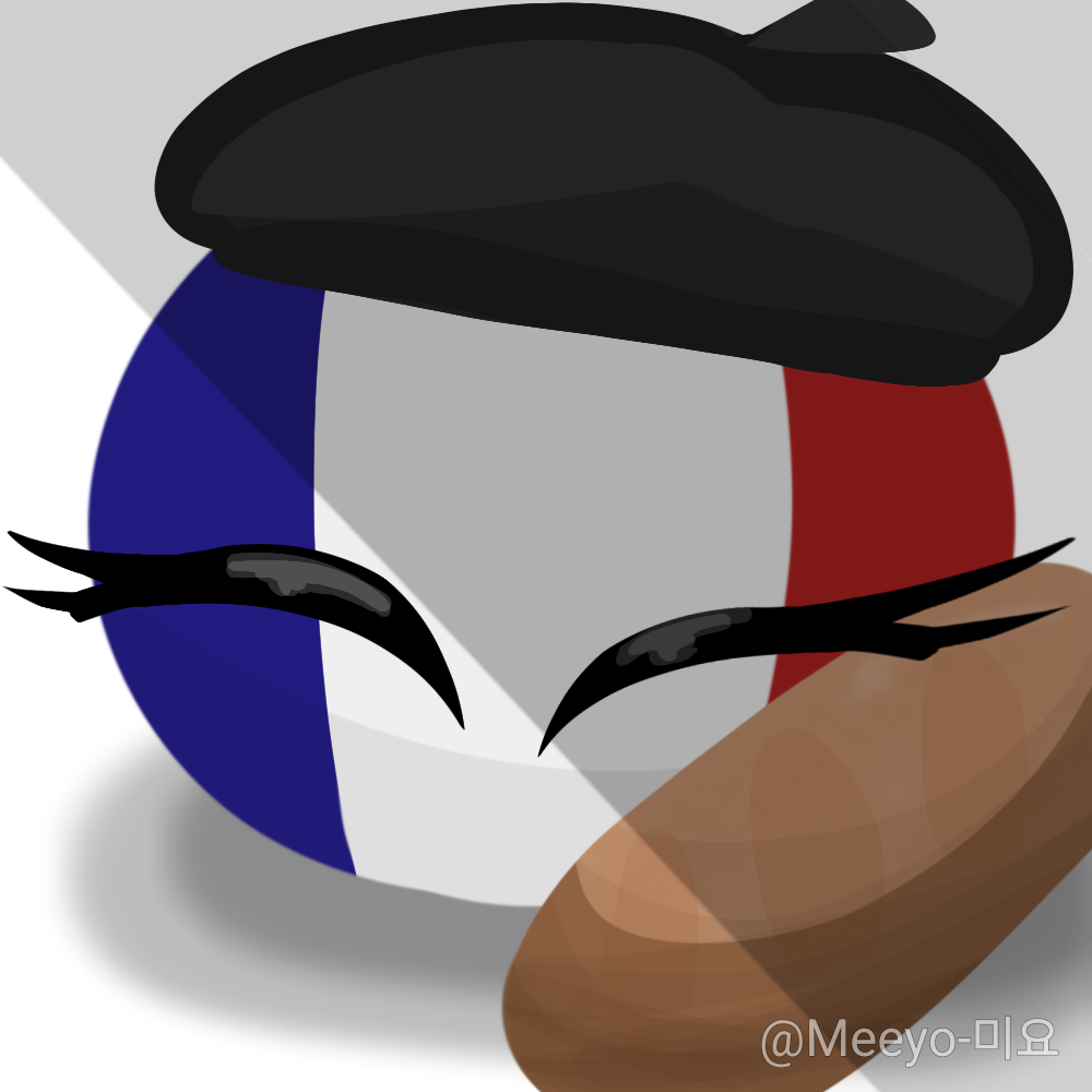 프랑스🥖🇫🇷 대표 이미지