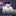 유회승
