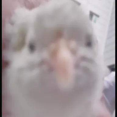 Profile image of 땜빵