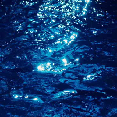 Profile image of 士道 龍聖