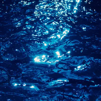 Profile image of 糸師 冴