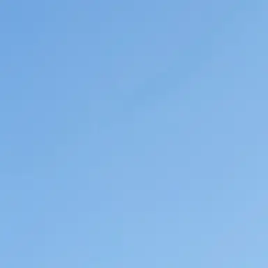 Profile image of 다현