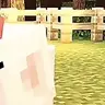 Profile image of pad