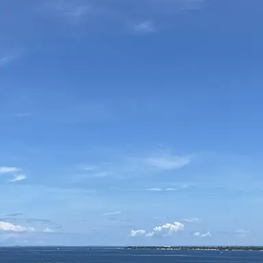 Profile image of 리레볼루션