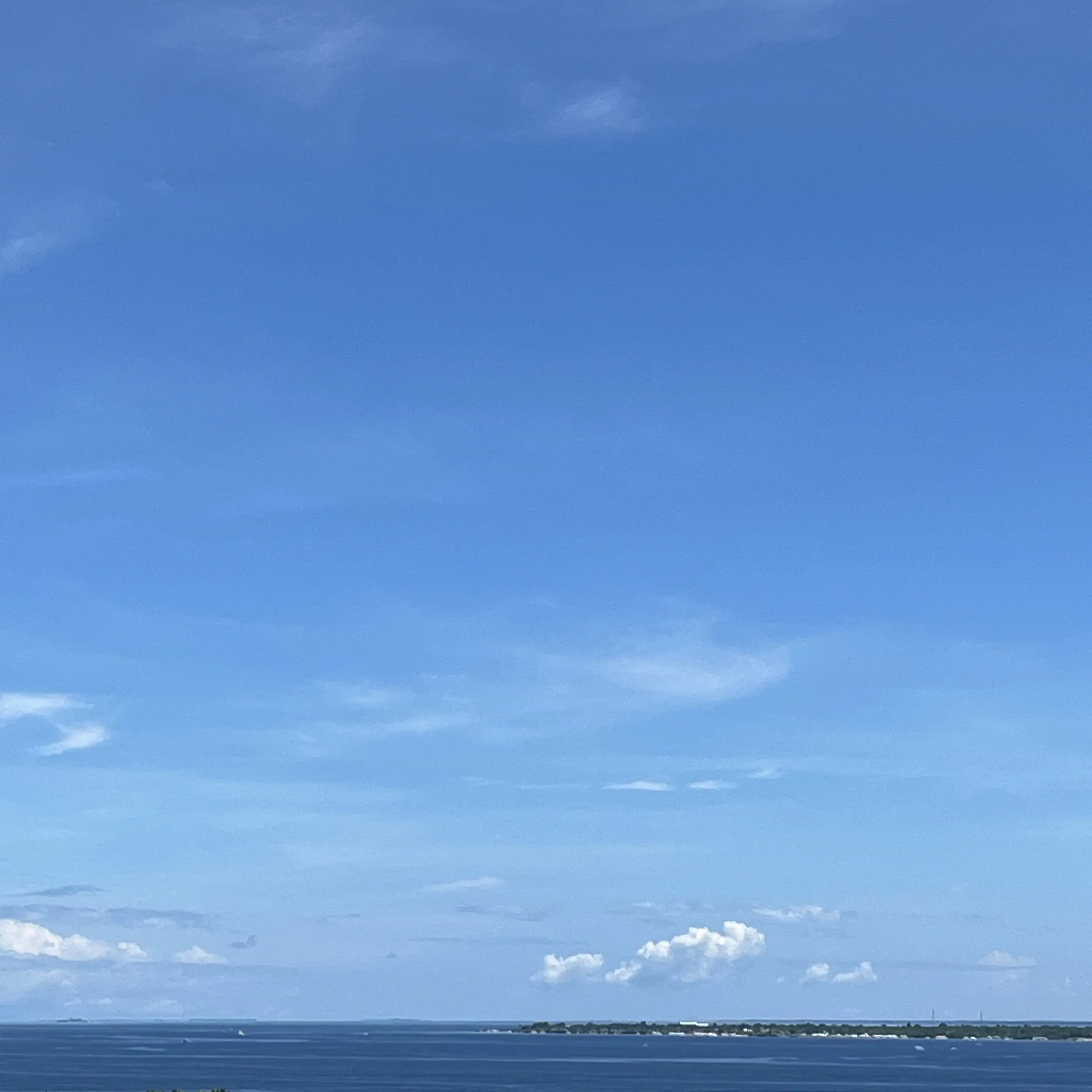 DullJar2568의 리레볼루션