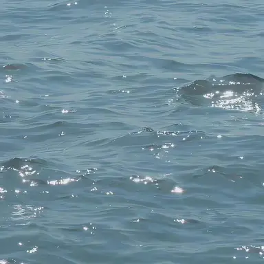 Profile image of 채형원