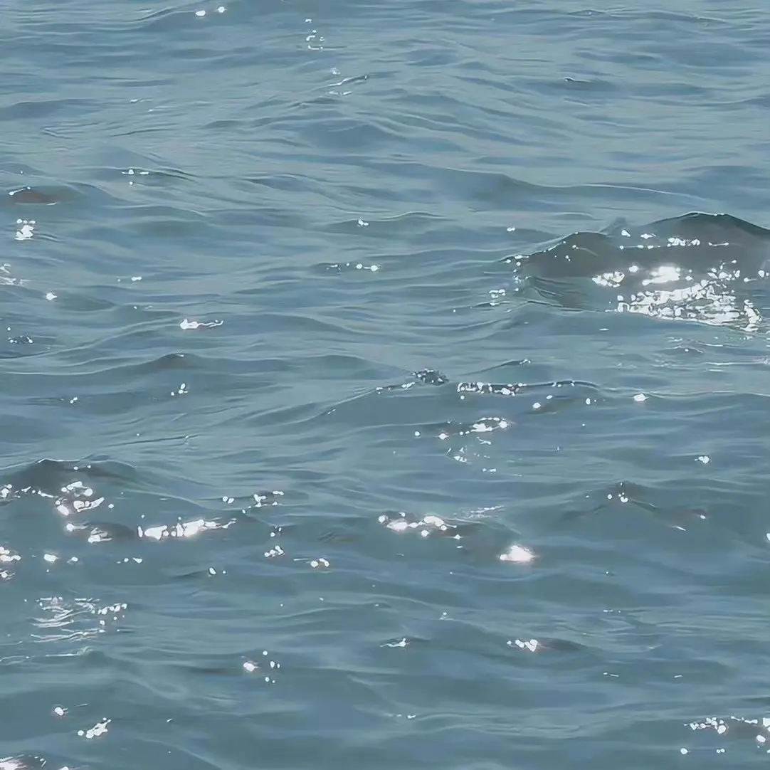 SpryBass4423의 채형원