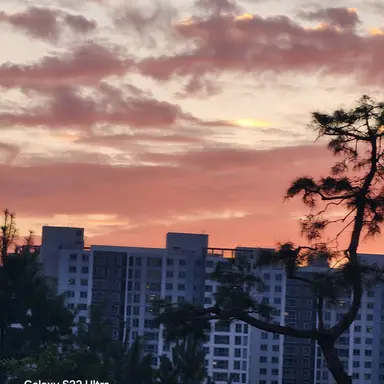 Profile image of 덕개