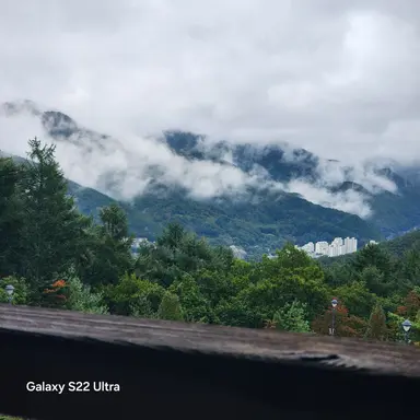 Profile image of 공룡