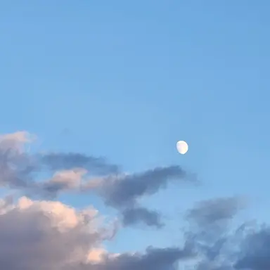 Profile image of 잠뜰