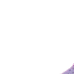 최연준