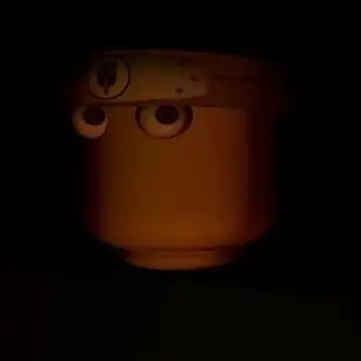 Profile image of Ragdolls