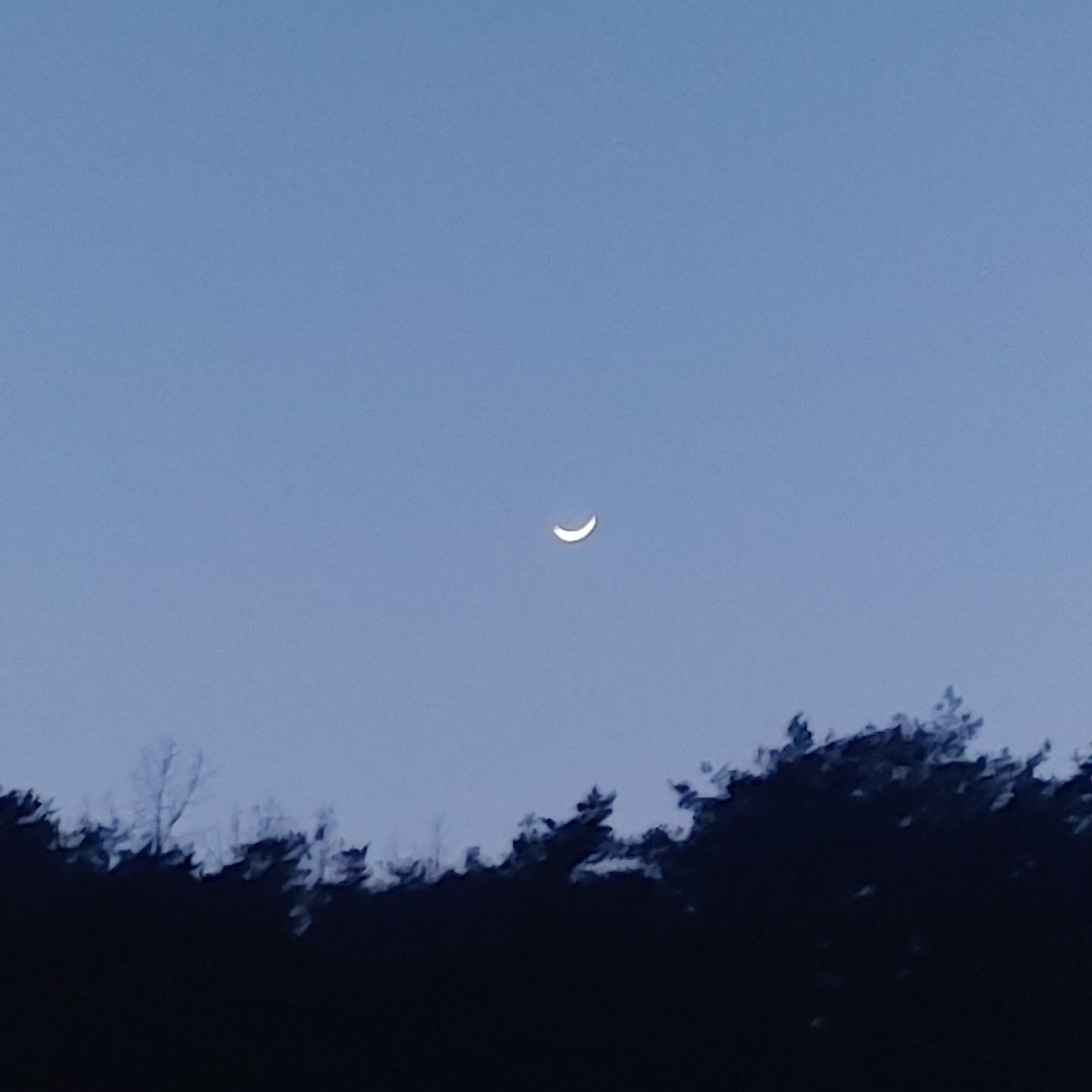 강력계 수사반 대표 이미지