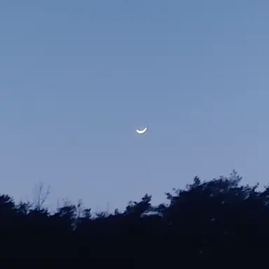 Profile image of 서은광