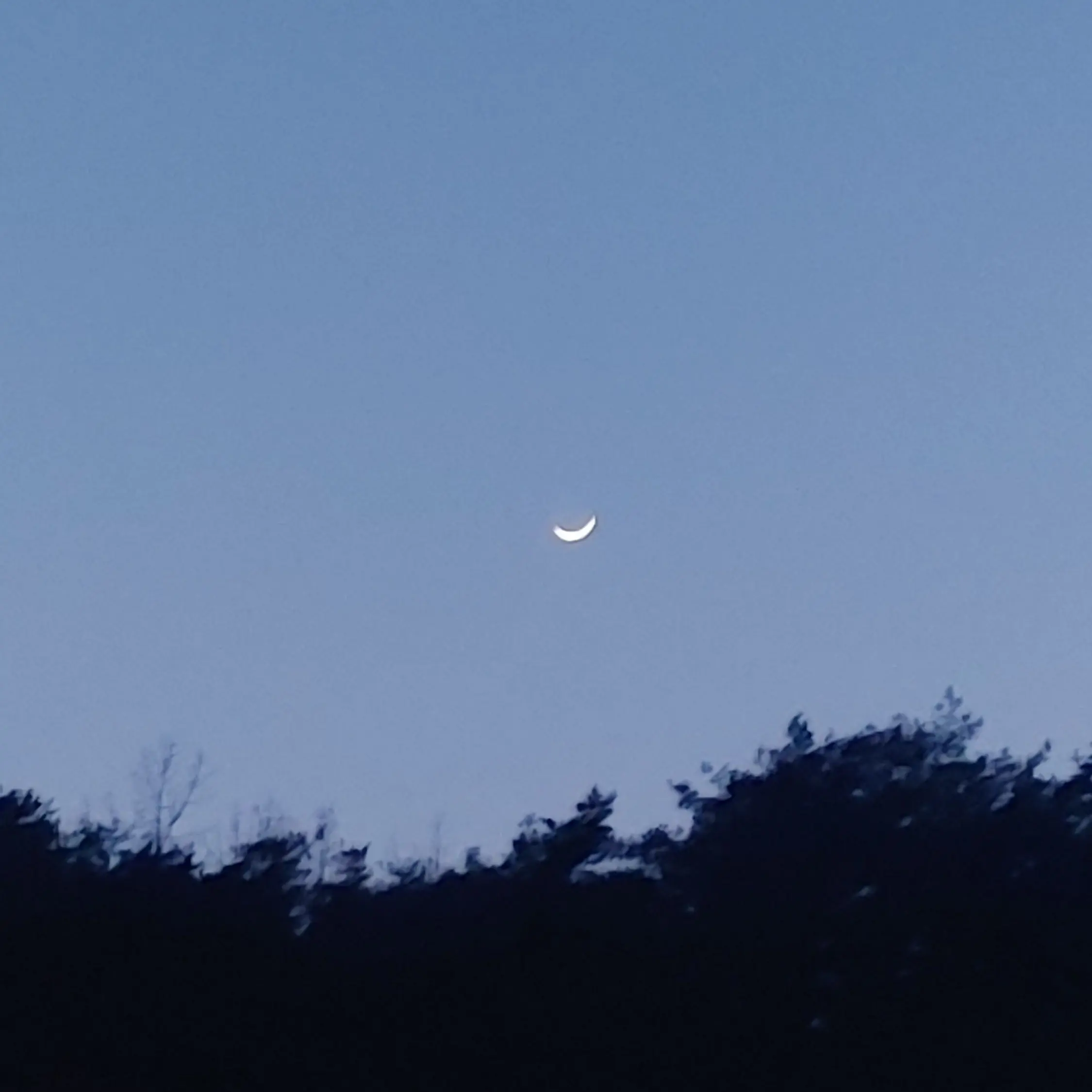 Larrr4의 강력계 수사반