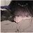 이 준