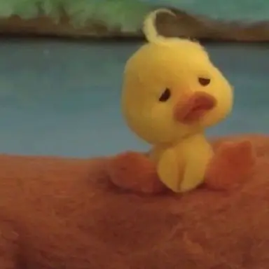 Profile image of 레이