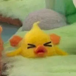 Profile image of 리즈