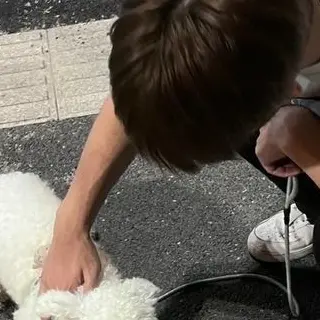 Profile image of 小日向太陽