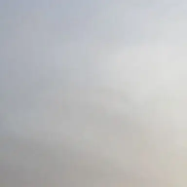 Profile image of 황현진