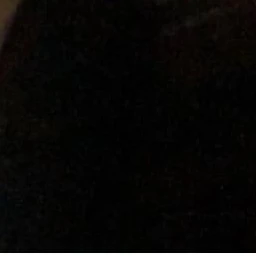 최승현
