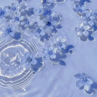 Profile image of 여신강림