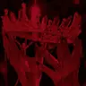 Profile image of 葛葉