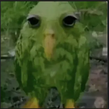 Profile image of 아마나이 사리