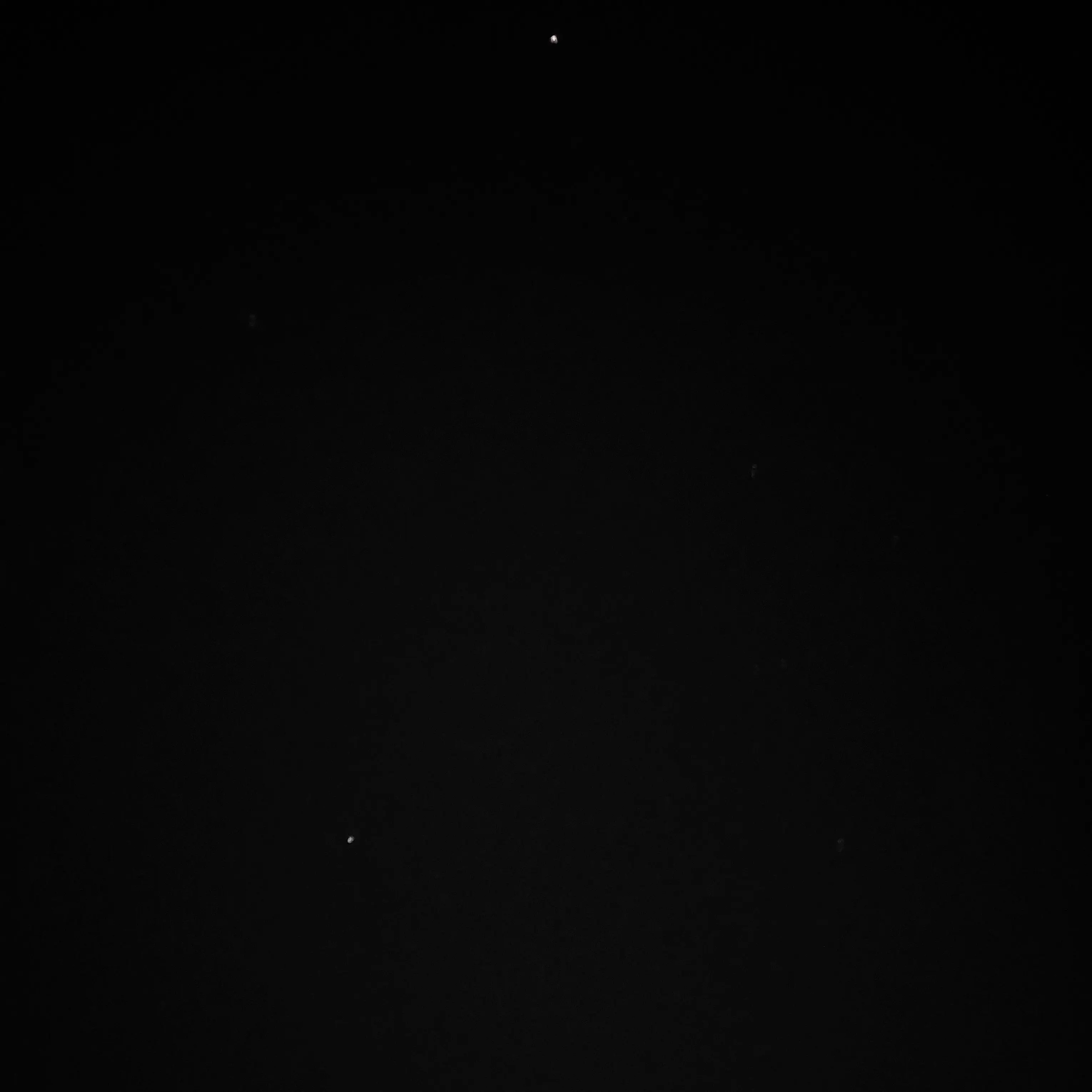 ProneHarp3519의 고고프렌즈+여우