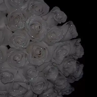 Profile image of 배성연