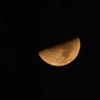 Profile image of 제미니