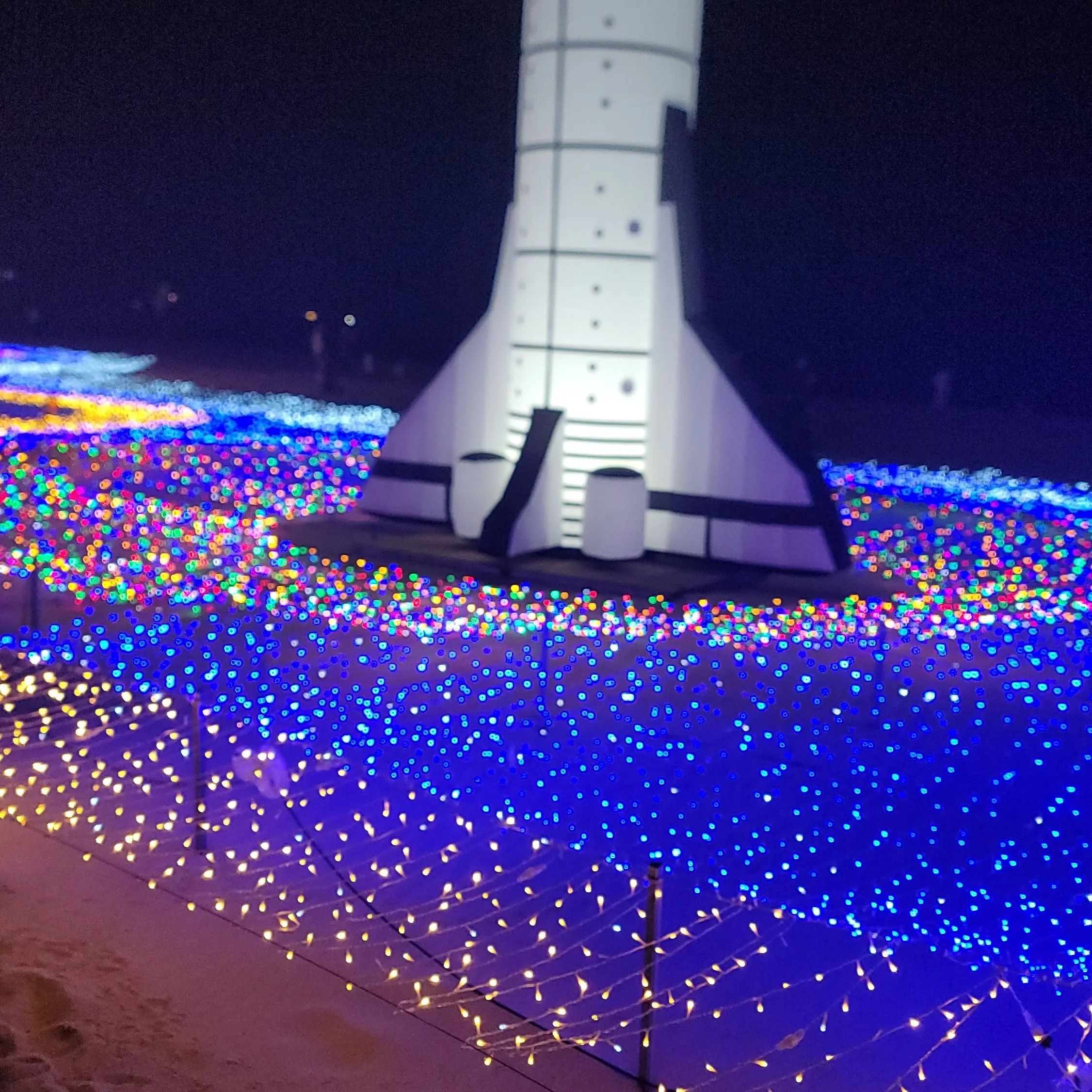 StoutShip0847의 여우가 아파트로 이사갔다고 자랑한다.