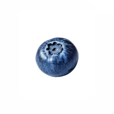 Profile image of Daichi Shiozaki