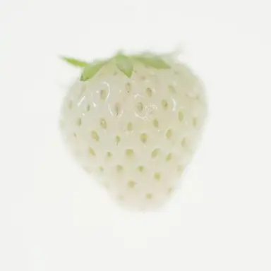 Profile image of Jyutaro Yamanaka