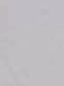 SnarlyCrumb2622의 💊 .？