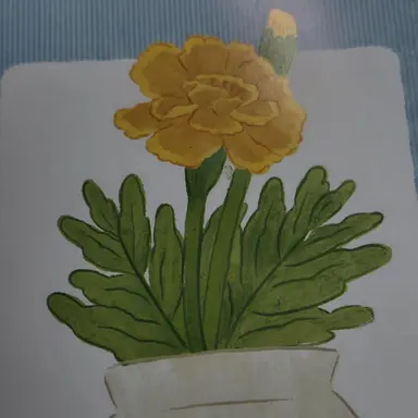Profile image of 여우